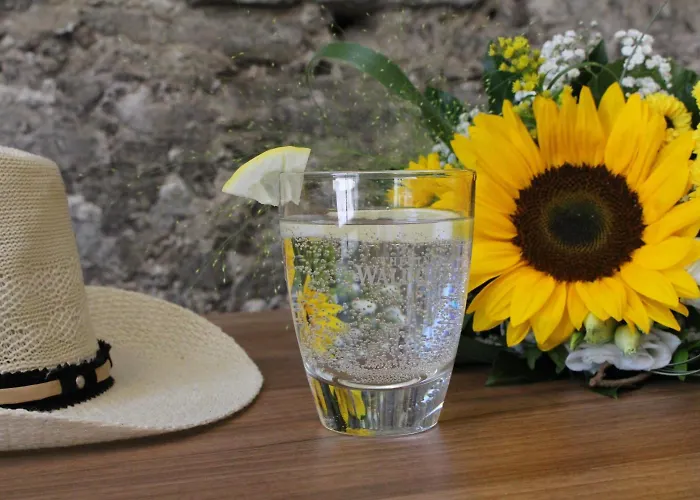 Otel Garni Anger 5 Bad Frankenhausen